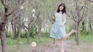 【柚子酱】再见，偷花人|赤足在樱花树下|春天快要过去了呀