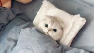 Bu, aku belum tidur selama tiga detik!