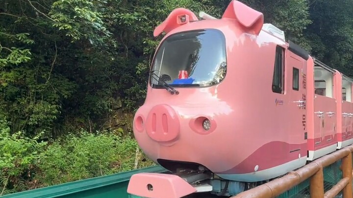 Di kawasan wisata Zhangjiajie kini hadir “Kereta Babi Berkah” yang berwarna merah muda manis dan men