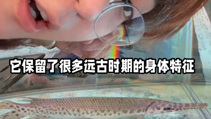 The Reason a Fish Enjoys Its Golden Years