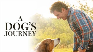 A Dog's Journey (2019) - SUB INDO