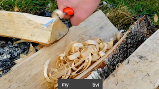 thiên nhiên hoang dã p1 #mytivi