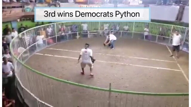 WWWW Champion 4bullstag from my buyer Democrats Wine Red Sweet Killer tested lines 🏆🏆🏆🏆❤️🐍