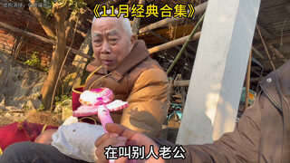 11月经典合集