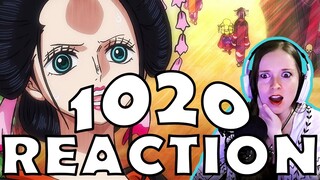 ROBIN IS AMAZING!! One Piece Chapter 1020 | Live Manga Reaction