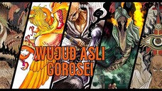 WUJUD ASLI GOROSEI | ONE PIECE