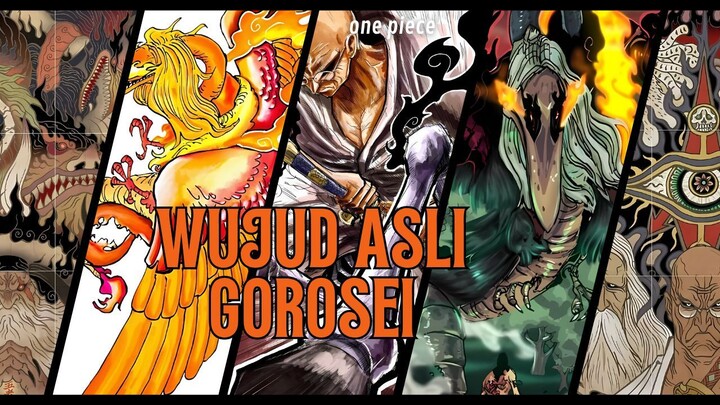 WUJUD ASLI GOROSEI | ONE PIECE