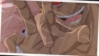 Nếu Luffy Không Có Trái Ác Quỷ _ Những Người Sẽ Vô Cùng Yếu Nếu Không Có Trái Ác Quỷ p8