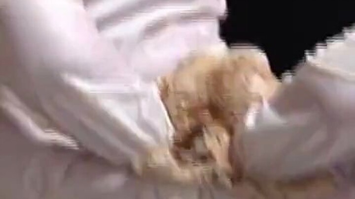 مرعب! آلاف البيوض الحشرية الأفريقية مخبأة داخل دمية عند الدخول، الجمارك في داليان تكتشفها بالأشعة ال