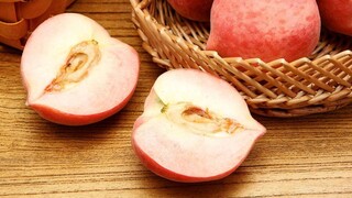【精彩片段】可 以 呀【宴宁ccccc】