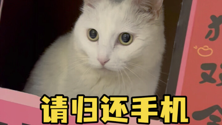 10月30号环球可乐塔旁边的厕所里拿人手机的人 把手机还给人家吧 失主：你有薯汁吗 #丢手机 #帮帮忙 #环球影城