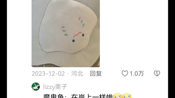 Dùng búp bê làm gối có phải là phổ biến trên toàn quốc không?