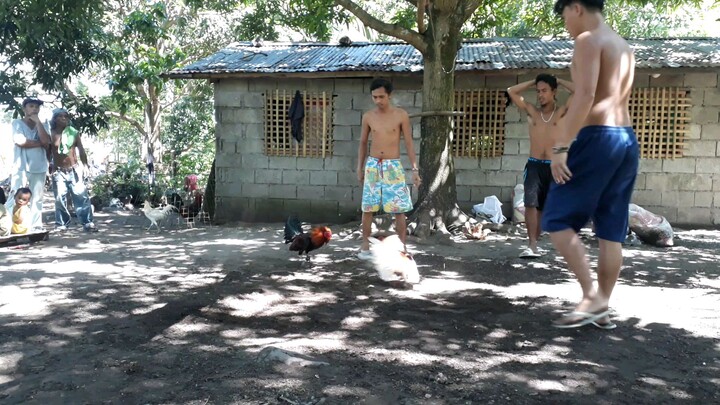 camiguin island JFCV