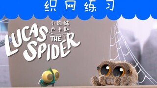 小蜘蛛卢卡斯：作为蜘蛛却发现自己其实不擅长织网？