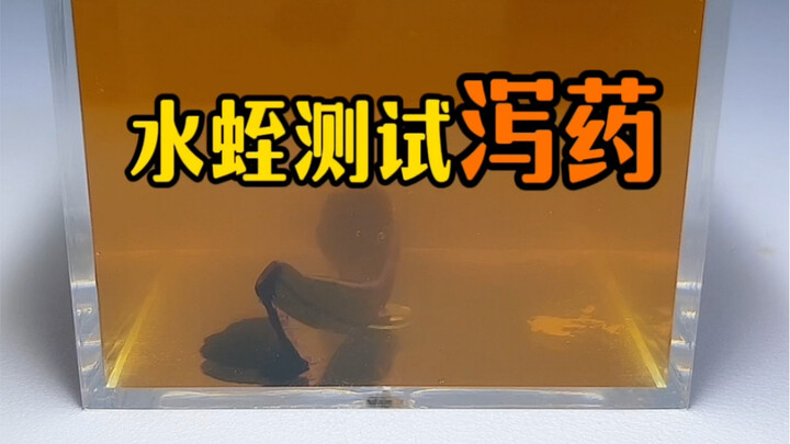 ใช้กาว 502 อุดรูทวารของปลิงไว้ แล้วโยนลงไปในยาระบาย ปลิงจะถูกอัดจนขาดใจตายไหม?