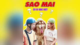 Alaska Mật Pet của Sao Mai và Thằng Cò có gì đặc biệt? tuitienpet alaska LearnOnTikTok education dcgr pet thucung