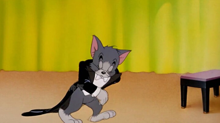 New second god cat