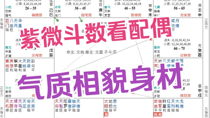 Dùng Tử Vi Đẩu Số để xem khí chất, tướng mạo và vóc dáng của bạn đời, luận đoán qua nhiều cung, cuối