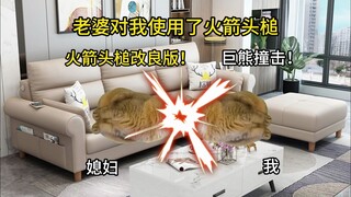 【Cat Meme】My wife launched a rocket headbutt at me, and in the end, we both ended up spitting blood