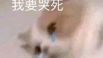 “สิบปีแห่งชีวิตและความตายที่ห่างไกลไร้การพบพาน ไม่คิดถึงก็ยากจะลืมเลือน” #จางกั๋วร่ง #ถังเหอกั๋ว #รั