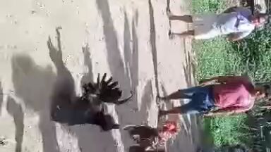 fun run.. 2x winner na