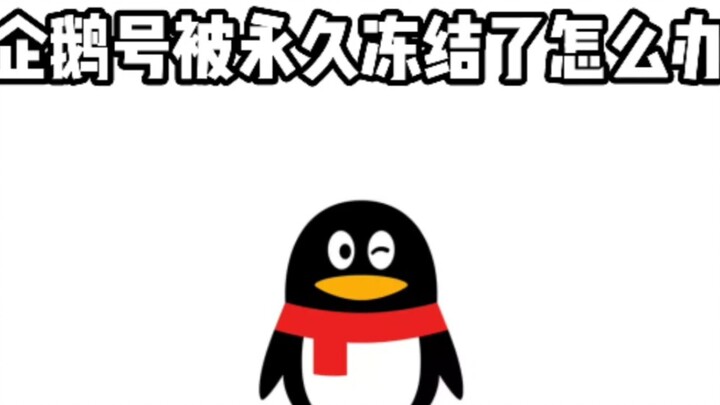 ماذا أفعل إذا تم تجميد حسابي على بينغروين بشكل دائم؟