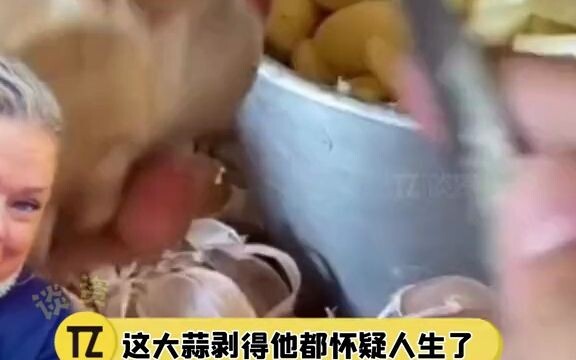 【81】 Ternyata bawang putih juga bisa dikupas seperti ini, sampai-sampai orang asing jadi meragukan e