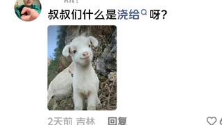 The most "jiaogei" episode