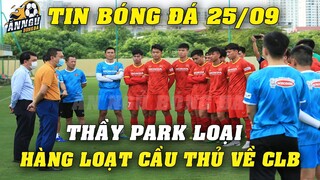 ĐTVN Thanh Lọc Lực Lượng...Thầy Park Thẳng Tay LOẠI Hàng Loạt Cầu Thủ Trở Về CLB