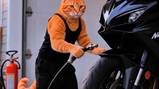 sedang bermain bermain di garasi motor yng ada di rumah