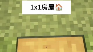 世上最小的房子（2）
