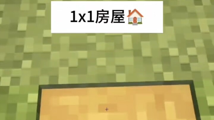 世上最小的房子（2）