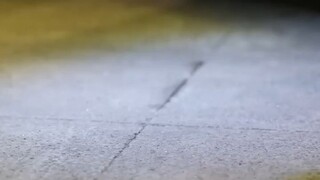 หญิงสาวปลอมตัวมาแก้แค้น ยอม เป็นเมียของคนที่ทำร้ายพ่อ! แต่ดันตกหลุมรักลูกเลี้ยงของ