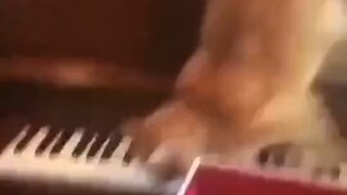 Perhatikan baik-baik, saya hanya akan menampilkan sekali saja.