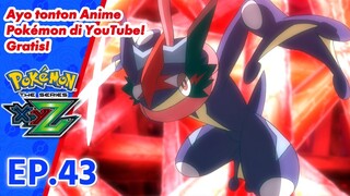 Pokémon the Series: XYZ | EP43 Membentuk Kesatuan Yang Lebih Sempurna! | Pokémon Indonesia