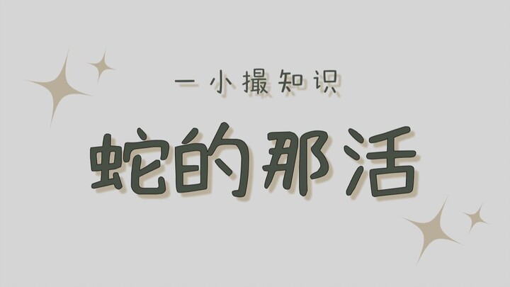 Rắn đực có hai nửa dương vật và có thể luân phiên sử dụng chúng.