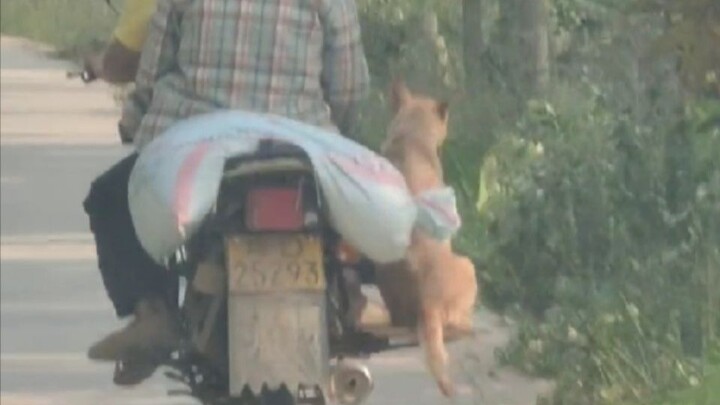 المساحة ليست كبيرة، لكن هناك مكان لك بالتأكيد~