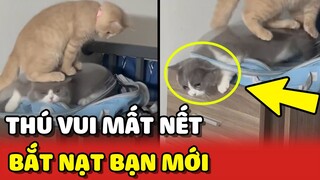 Hoàng Thượng THÍCH BẮT NẠT thành viên mới khiến Sen lo lắng và CÁI KẾT 😂 | Yêu Lu