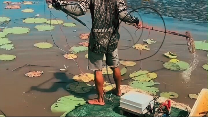 The Shocking Trick Used to Catch Fish!