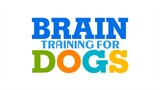Brain Training for Dogs - Turn Your Dog into a Genius!