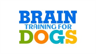 Brain Training for Dogs - Turn Your Dog into a Genius!