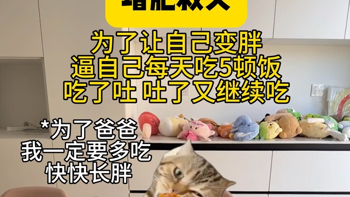 ليُنقِذ والده المصاب بسرطان الدم، يأكل 5 وجبات في اليوم ويكتسب 30 رطلاً في ثلاثة أشهر!