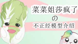 关于菜菜姐莎疯了の不正经模型介绍