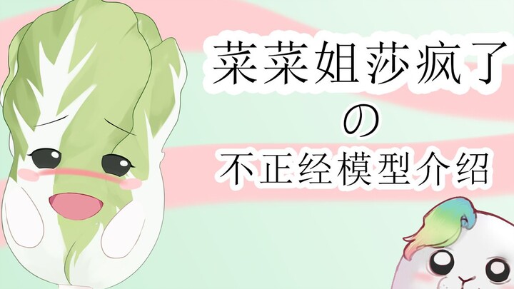 关于菜菜姐莎疯了の不正经模型介绍