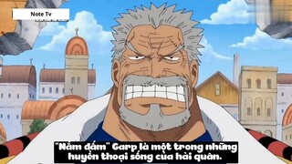 Top 7 Người Có _Ý Chí Của D_ Trong One Piece #24- 7