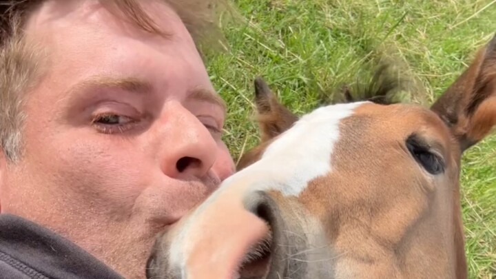 Spending a relaxing afternoon with the horses