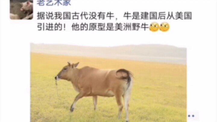 Bình luận hài hước: Chẳng lẽ nó định trộm quỷ hỏa của tôi à?