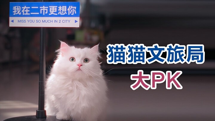 ข้าพเจ้าในฐานะผู้รับผิดชอบด้านวัฒนธรรมและการท่องเที่ยวของเมืองที่สอง จะไม่ยอมแพ้เด็ดขาด!