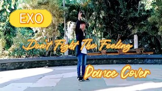 EXO - Don't Fight The Feeling