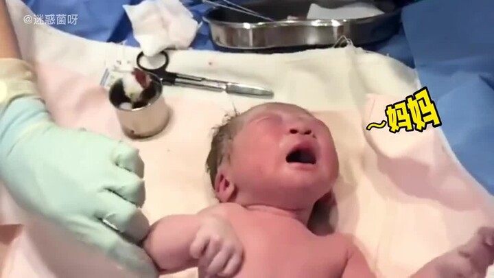 A roundup of adorable newborn behaviors: Some babies even call out “Mama” right after they’re born—h